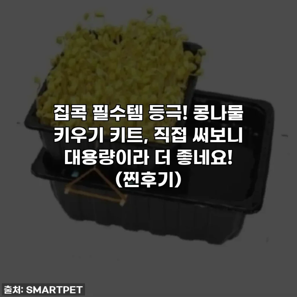 집콕 필수템 등극! 콩나물 키우기 키트, 직접 써보니 대용량이라 더 좋네요! (찐후기)