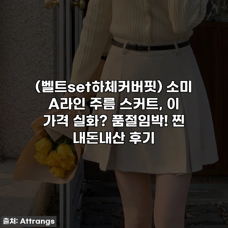 (벨트set하체커버핏) 소미 A라인 주름 스커트, 이 가격 실화? 품절임박! 찐 내돈내산 후기