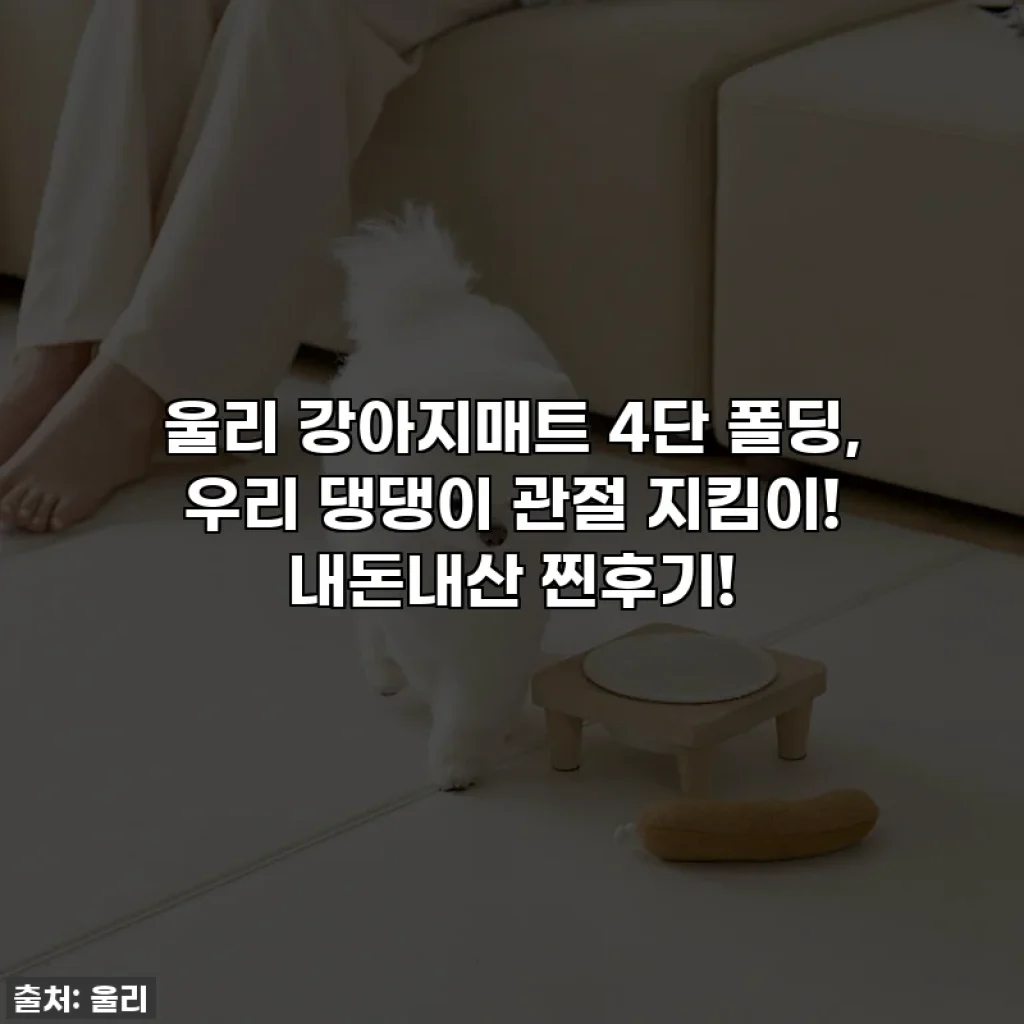 울리 강아지매트 4단 폴딩, 우리 댕댕이 관절 지킴이! 내돈내산 찐후기!