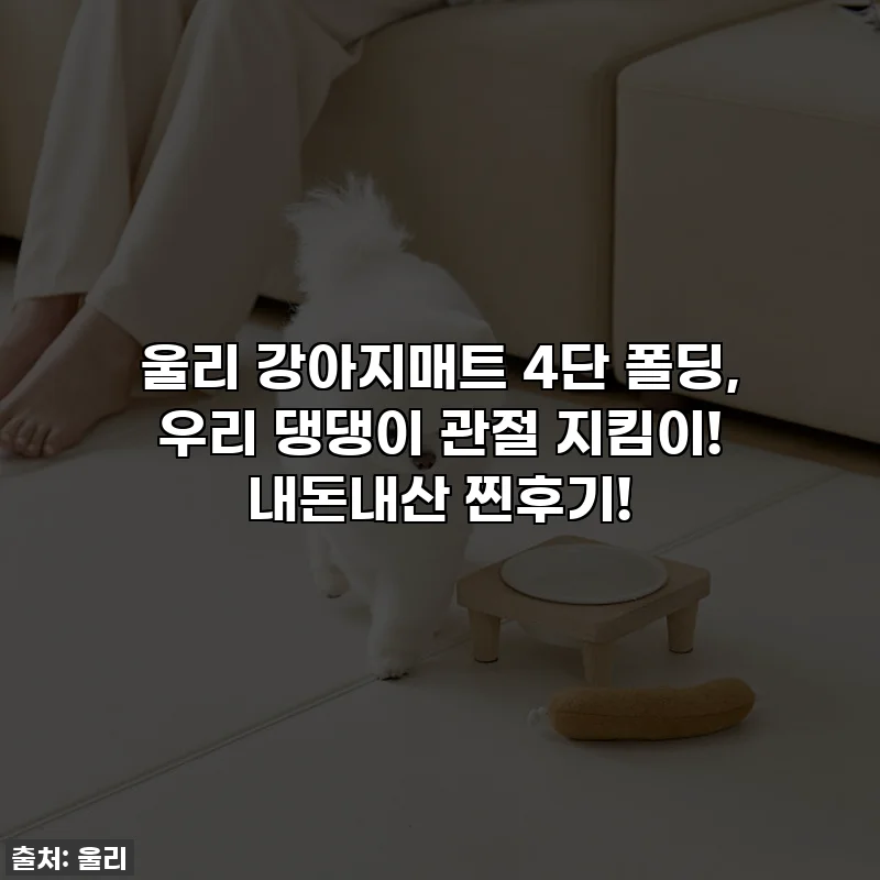 울리 강아지매트 4단 폴딩, 우리 댕댕이 관절 지킴이! 내돈내산 찐후기!