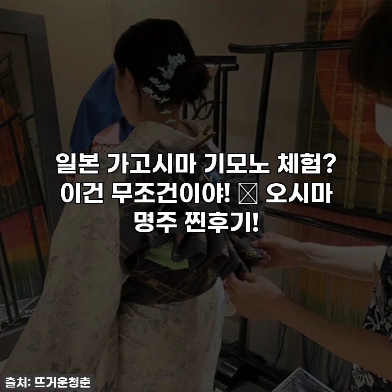 일본 가고시마 기모노 체험? 이건 무조건이야! 👘 오시마 명주 찐후기!