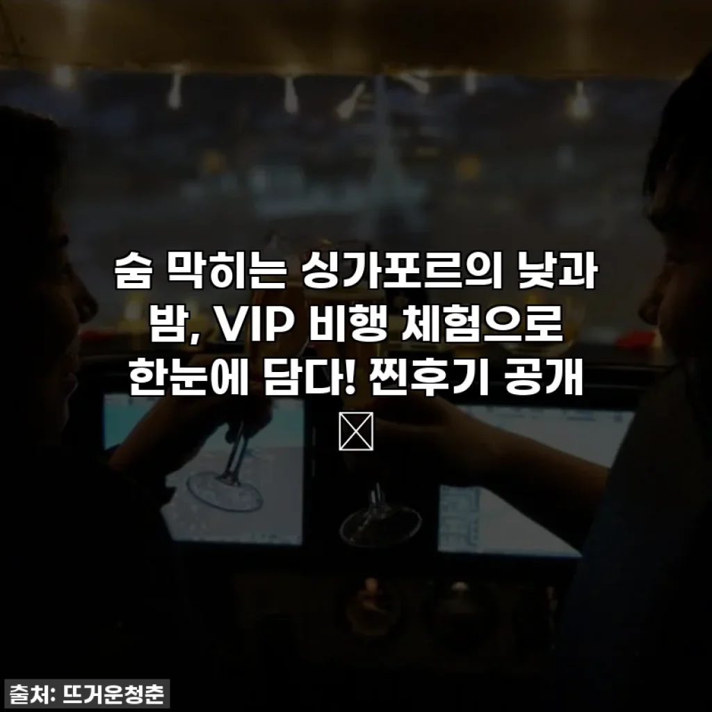 숨 막히는 싱가포르의 낮과 밤, VIP 비행 체험으로 한눈에 담다! 찐후기 공개 ✨