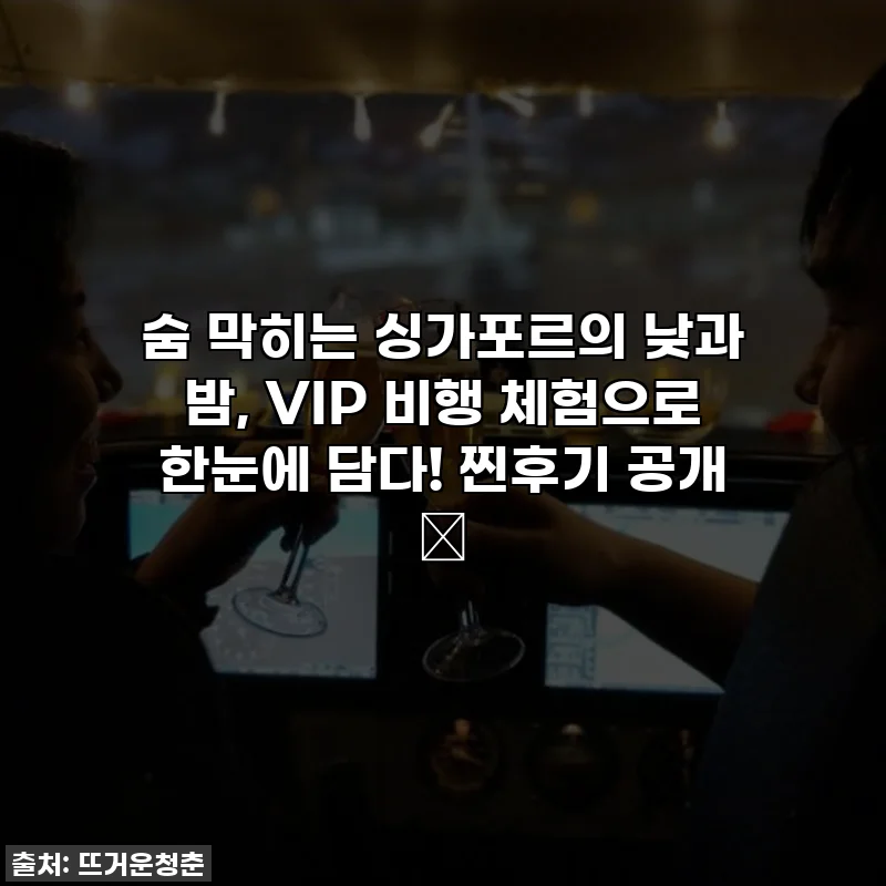 숨 막히는 싱가포르의 낮과 밤, VIP 비행 체험으로 한눈에 담다! 찐후기 공개 ✨