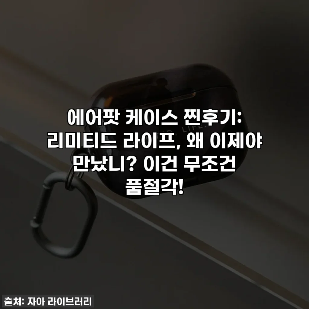 에어팟 케이스 찐후기: 리미티드 라이프, 왜 이제야 만났니? 이건 무조건 품절각!
