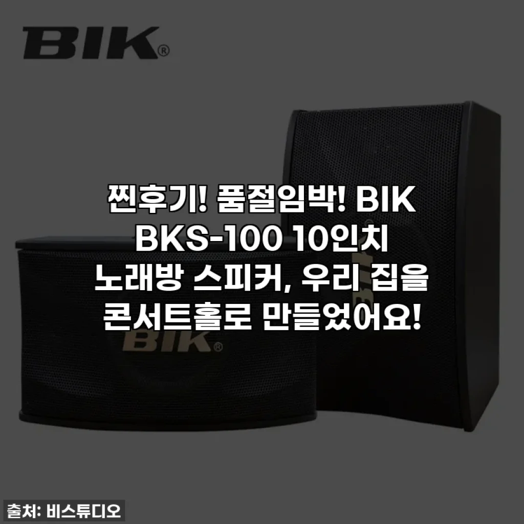 찐후기! 품절임박! BIK BKS-100 10인치 노래방 스피커, 우리 집을 콘서트홀로 만들었어요!