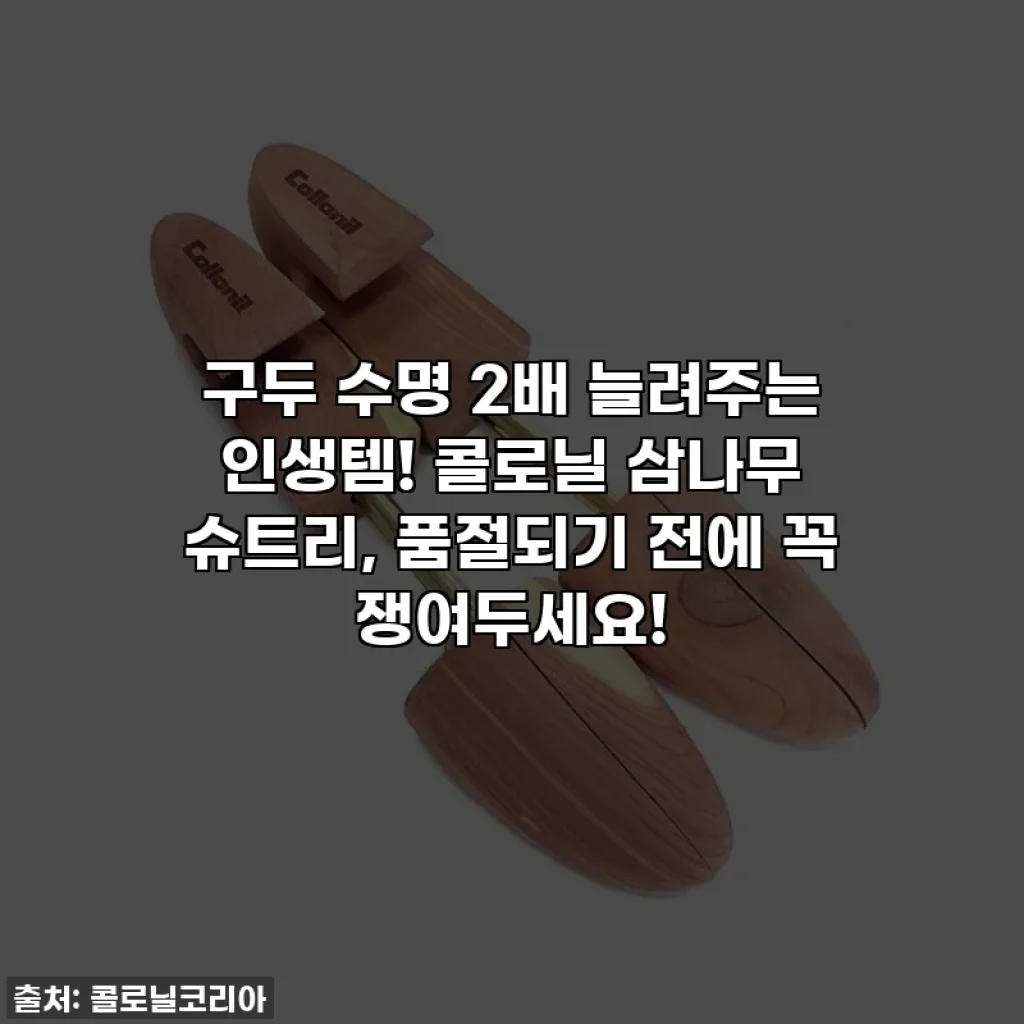 구두 수명 2배 늘려주는 인생템! 콜로닐 삼나무 슈트리, 품절되기 전에 꼭 쟁여두세요!