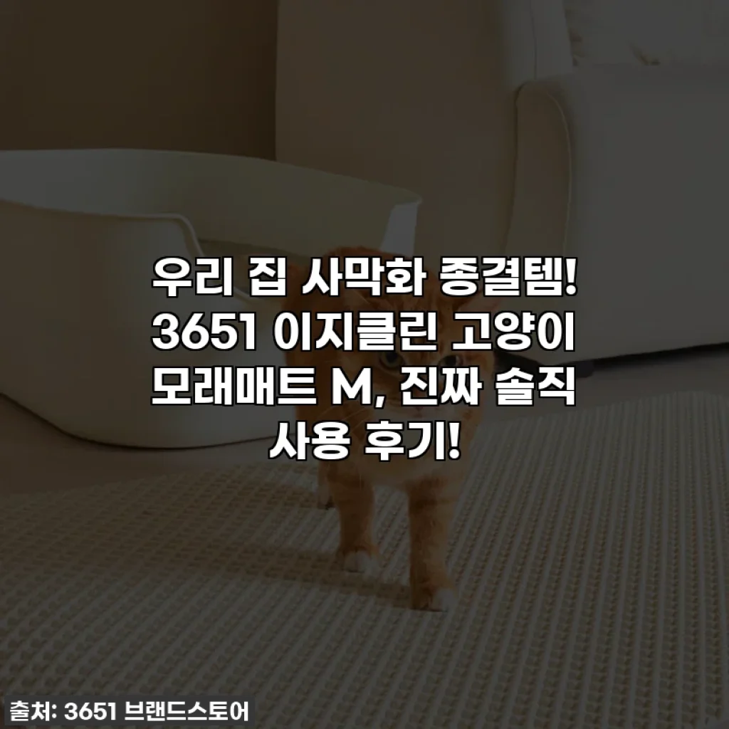 우리 집 사막화 종결템! 3651 이지클린 고양이 모래매트 M, 진짜 솔직 사용 후기!