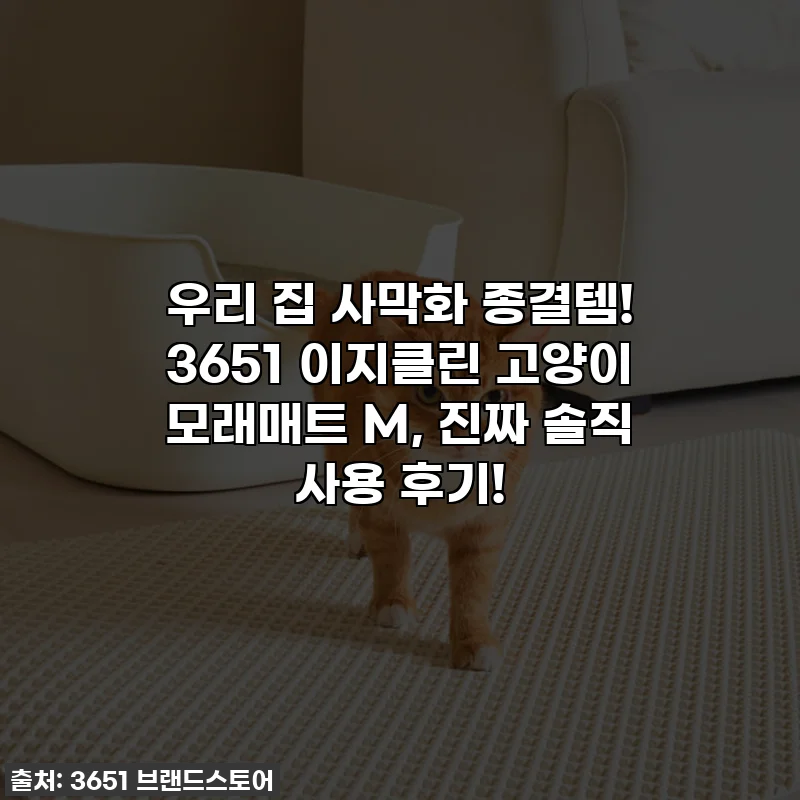 우리 집 사막화 종결템! 3651 이지클린 고양이 모래매트 M, 진짜 솔직 사용 후기!