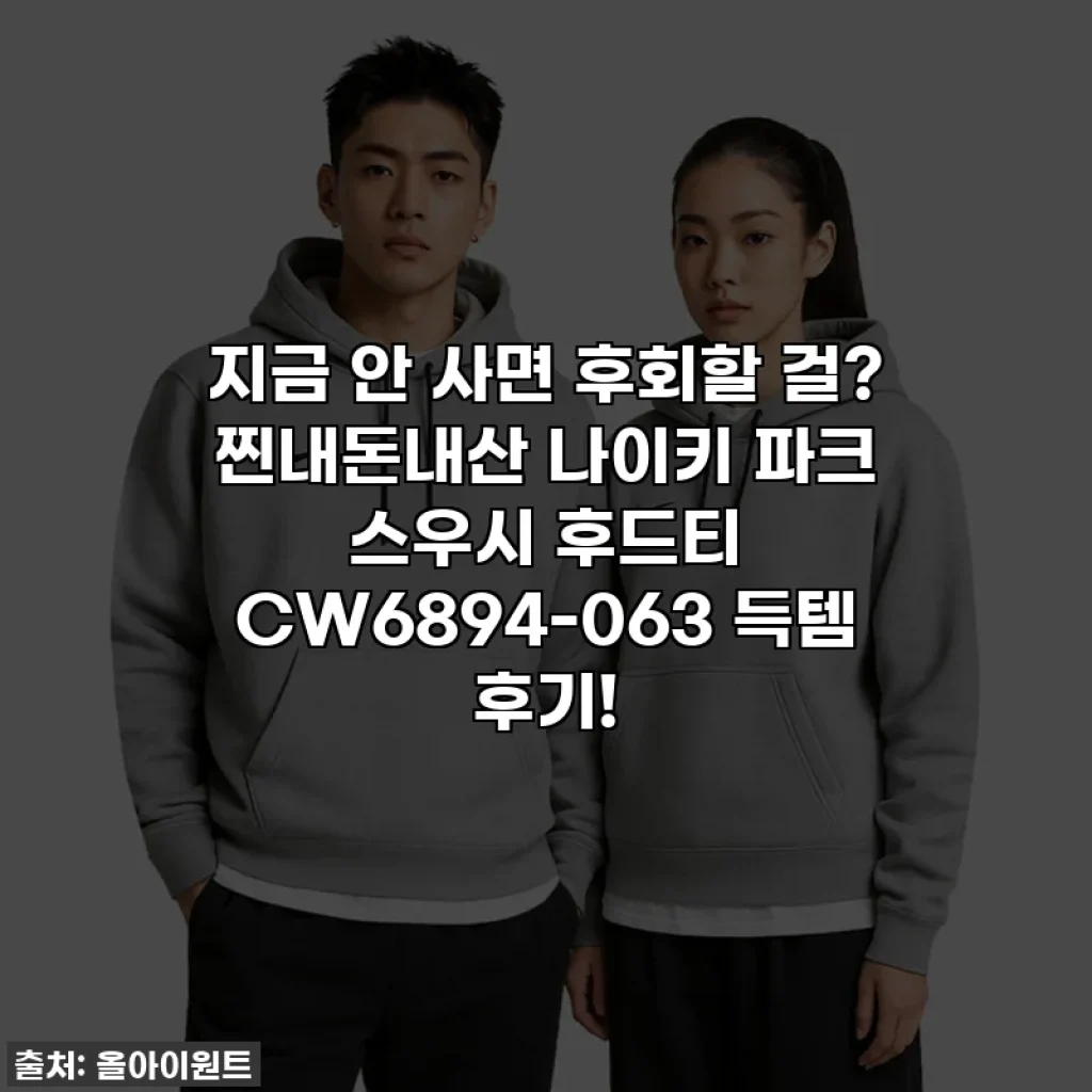 지금 안 사면 후회할 걸? 찐내돈내산 나이키 파크 스우시 후드티 CW6894-063 득템 후기!