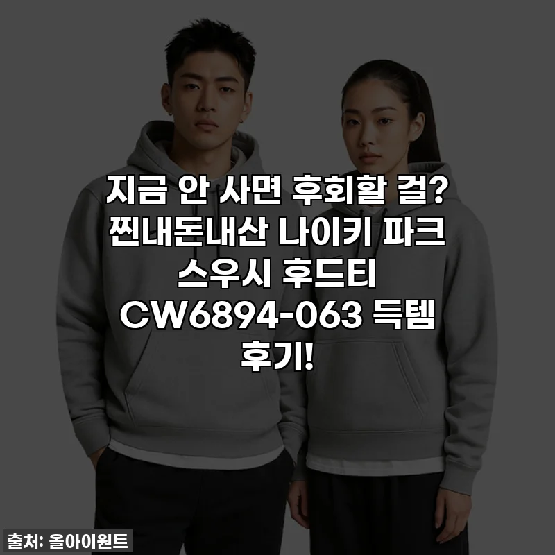 지금 안 사면 후회할 걸? 찐내돈내산 나이키 파크 스우시 후드티 CW6894-063 득템 후기!