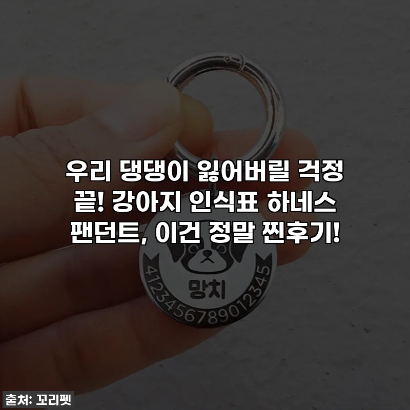 우리 댕댕이 잃어버릴 걱정 끝! 강아지 인식표 하네스 팬던트, 이건 정말 찐후기!