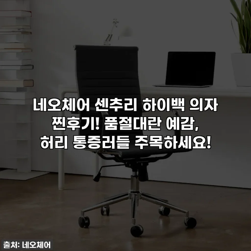 네오체어 센추리 하이백 의자 찐후기! 품절대란 예감, 허리 통증러들 주목하세요!