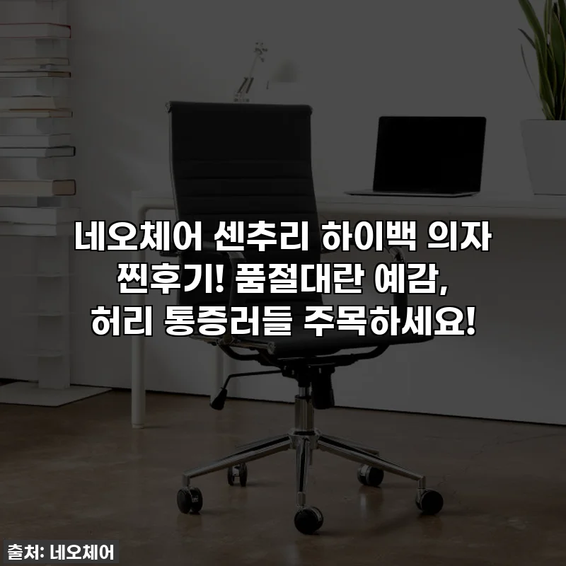 네오체어 센추리 하이백 의자 찐후기! 품절대란 예감, 허리 통증러들 주목하세요!