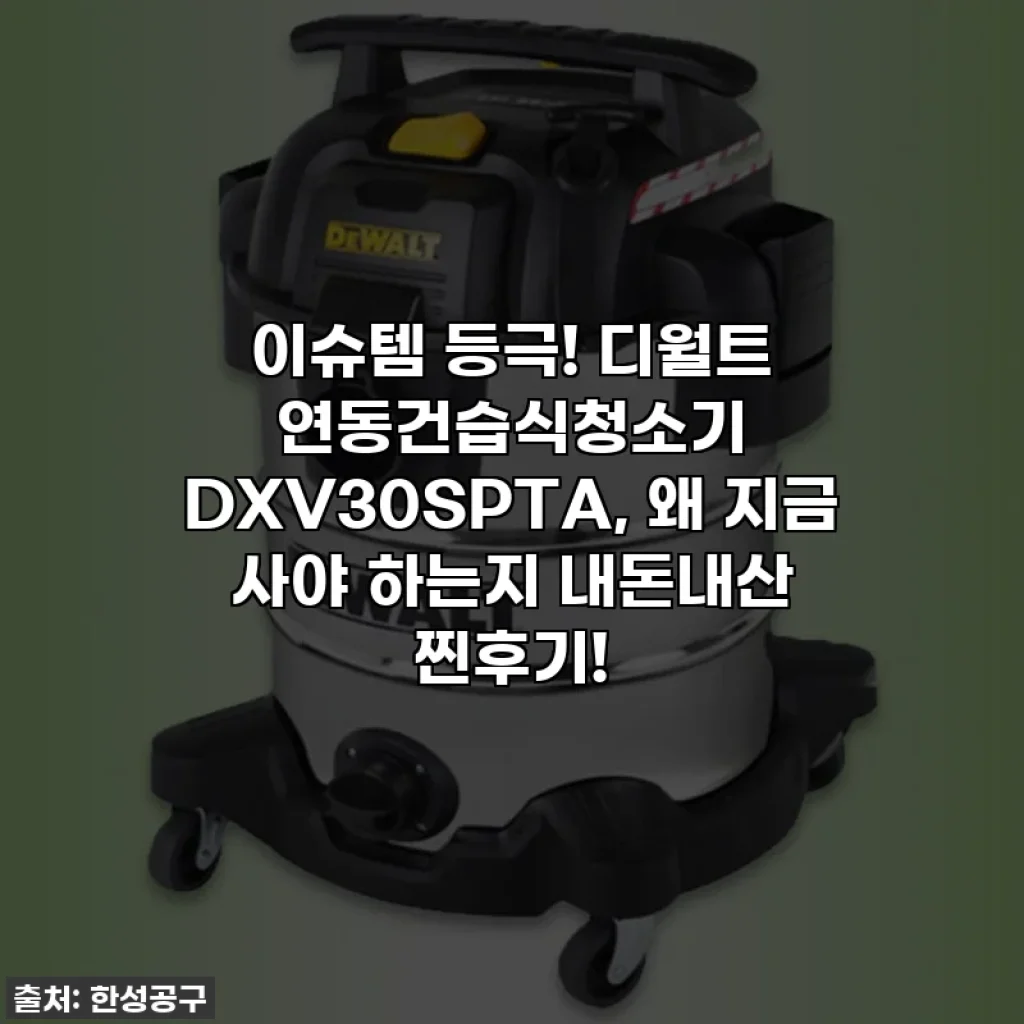 이슈템 등극! 디월트 연동건습식청소기 DXV30SPTA, 왜 지금 사야 하는지 내돈내산 찐후기!