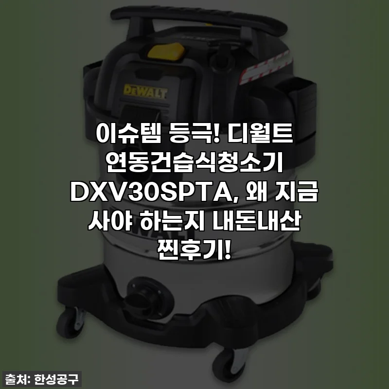 이슈템 등극! 디월트 연동건습식청소기 DXV30SPTA, 왜 지금 사야 하는지 내돈내산 찐후기!