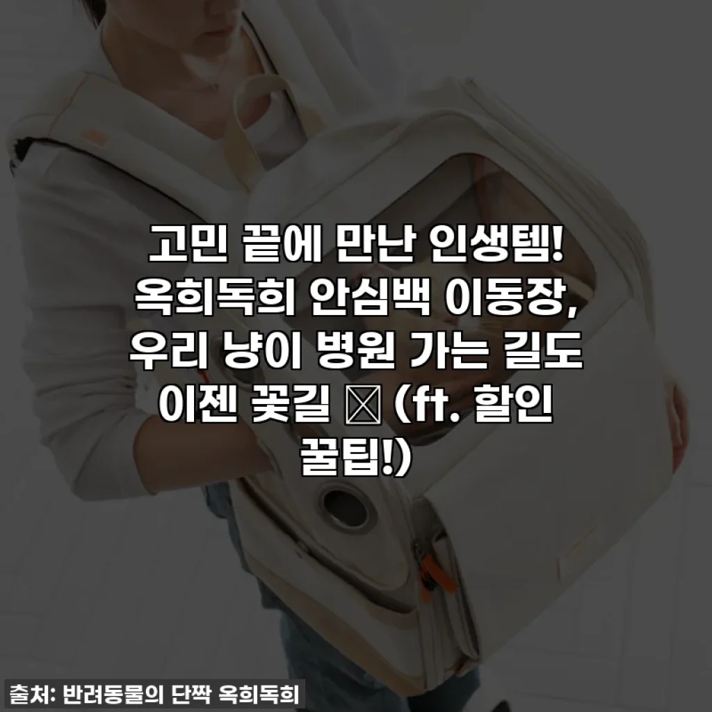 고민 끝에 만난 인생템! 옥희독희 안심백 이동장, 우리 냥이 병원 가는 길도 이젠 꽃길 🌸 (ft. 할인 꿀팁!)
