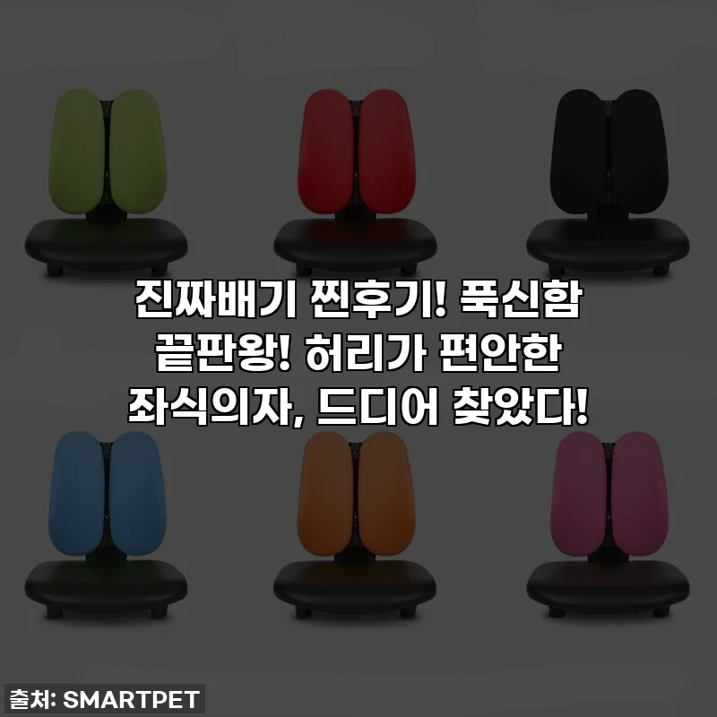 진짜배기 찐후기! 푹신함 끝판왕! 허리가 편안한 좌식의자, 드디어 찾았다!