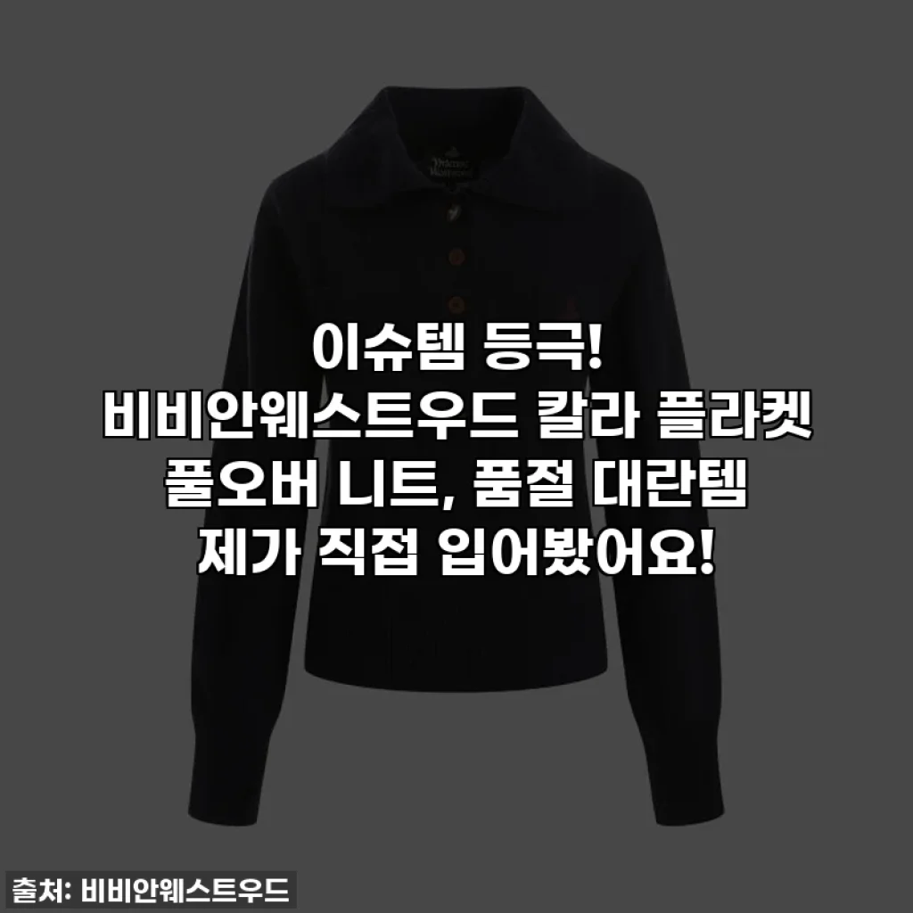 이슈템 등극! 비비안웨스트우드 칼라 플라켓 풀오버 니트, 품절 대란템 제가 직접 입어봤어요!