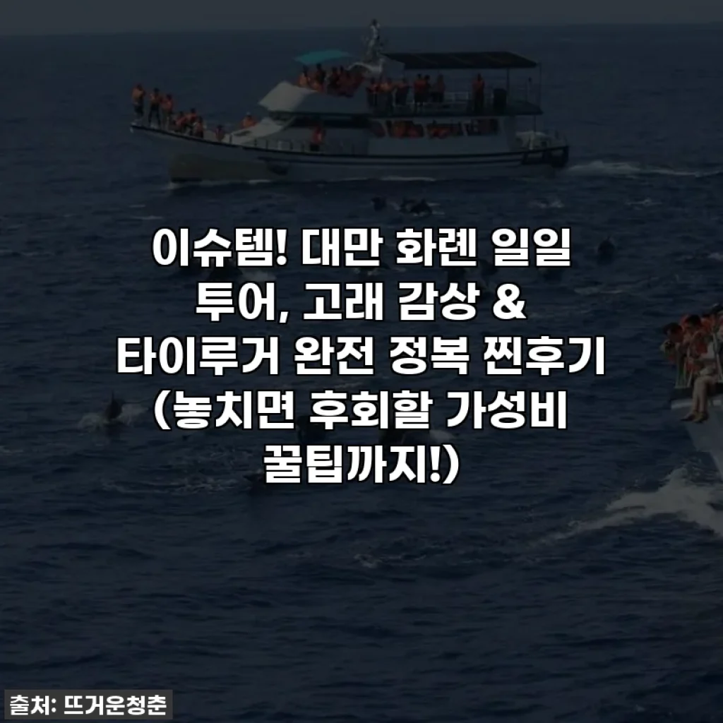 이슈템! 대만 화롄 일일 투어, 고래 감상 & 타이루거 완전 정복 찐후기 (놓치면 후회할 가성비 꿀팁까지!)