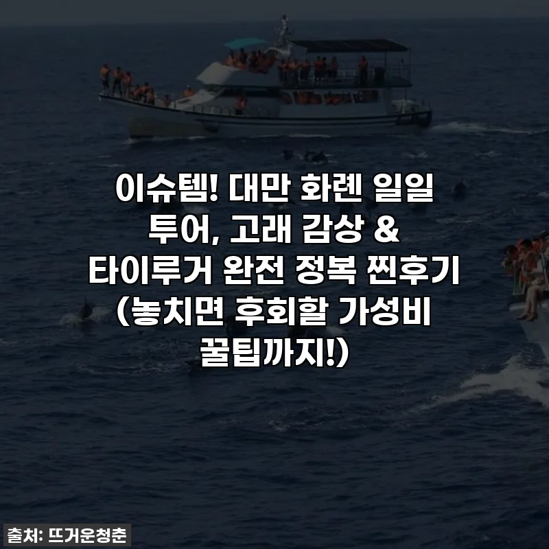 이슈템! 대만 화롄 일일 투어, 고래 감상 & 타이루거 완전 정복 찐후기 (놓치면 후회할 가성비 꿀팁까지!)