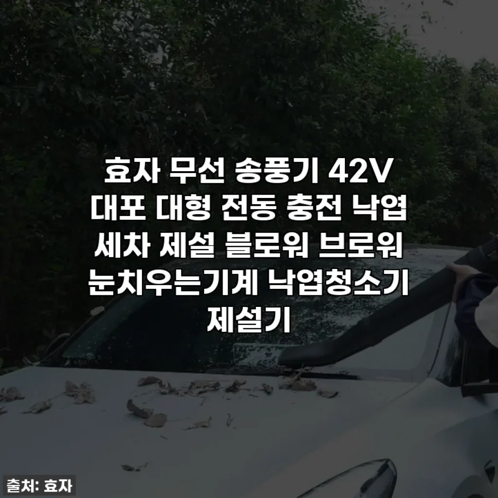 효자 무선 송풍기 42V 대포 대형 전동 충전 낙엽 세차 제설 블로워 브로워 눈치우는기계 낙엽청소기 제설기