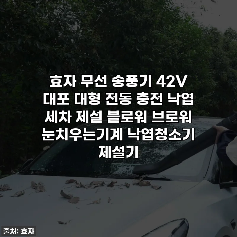 효자 무선 송풍기 42V 대포 대형 전동 충전 낙엽 세차 제설 블로워 브로워 눈치우는기계 낙엽청소기 제설기