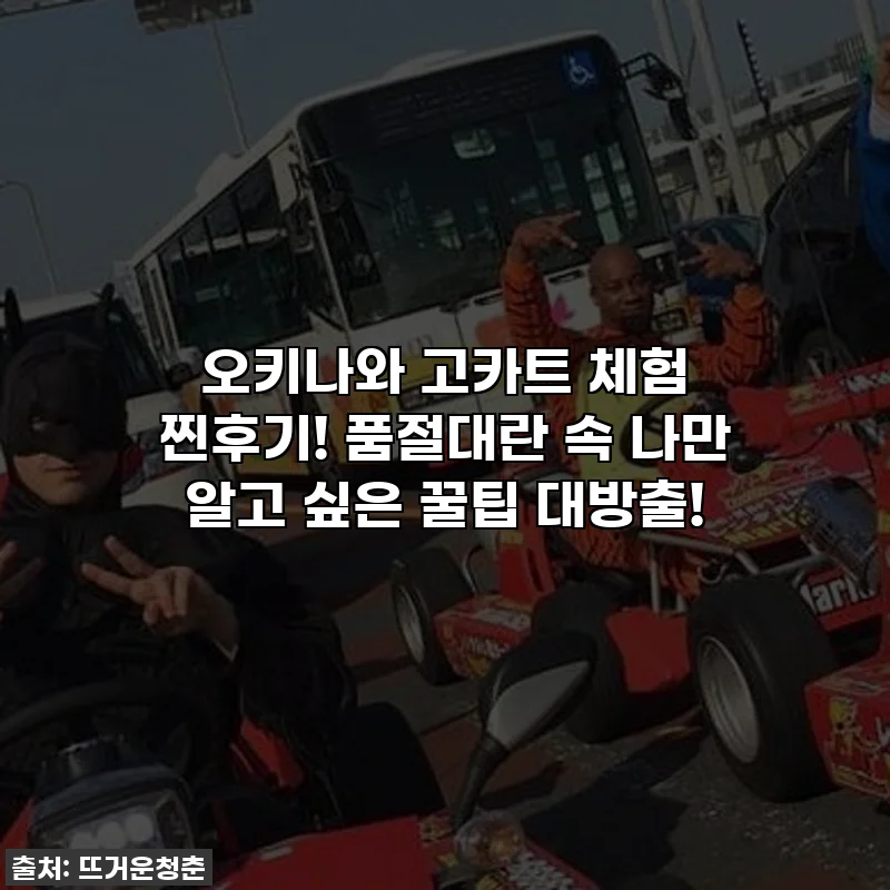 오키나와 고카트 체험 찐후기! 품절대란 속 나만 알고 싶은 꿀팁 대방출!