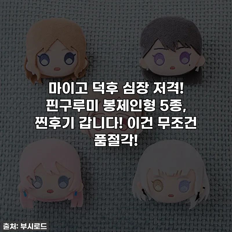 마이고 덕후 심장 저격! 핀구루미 봉제인형 5종, 찐후기 갑니다! 이건 무조건 품절각!