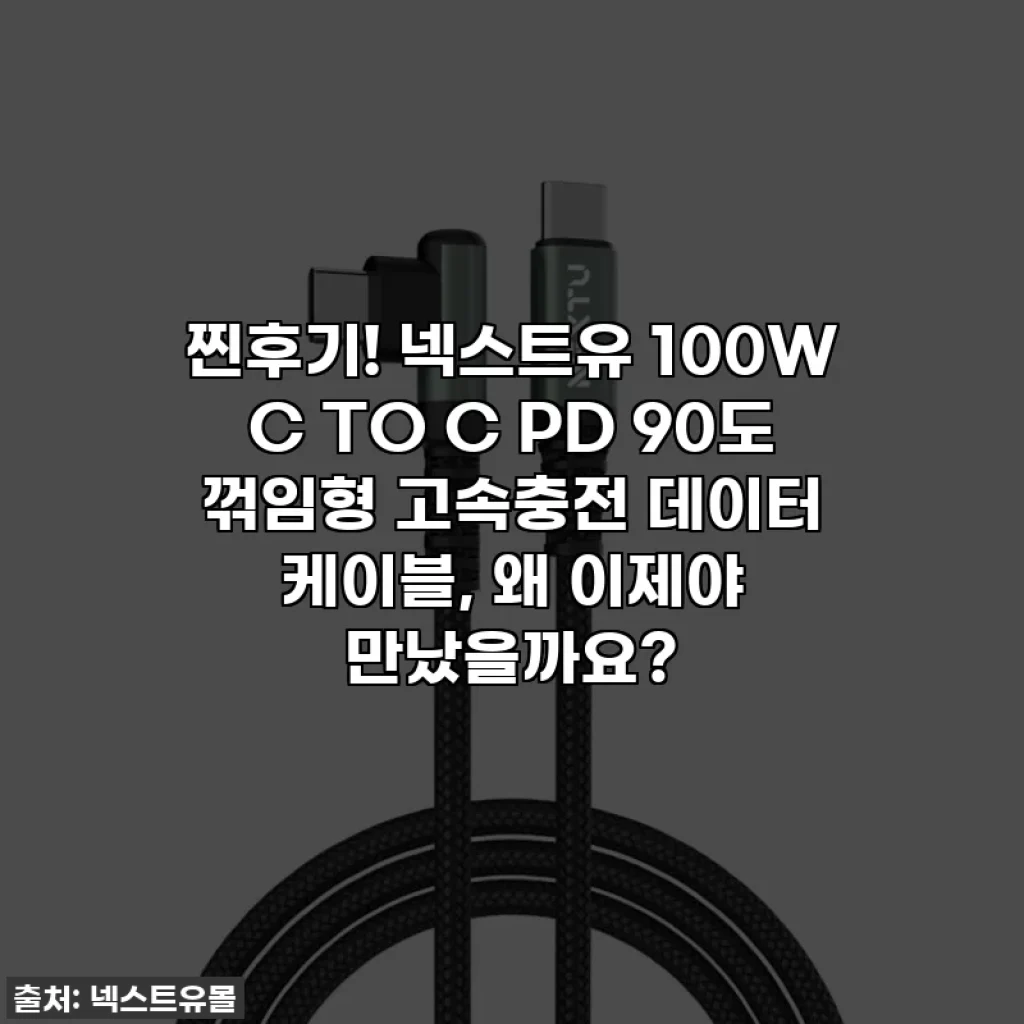 찐후기! 넥스트유 100W C TO C PD 90도 꺾임형 고속충전 데이터 케이블, 왜 이제야 만났을까요?