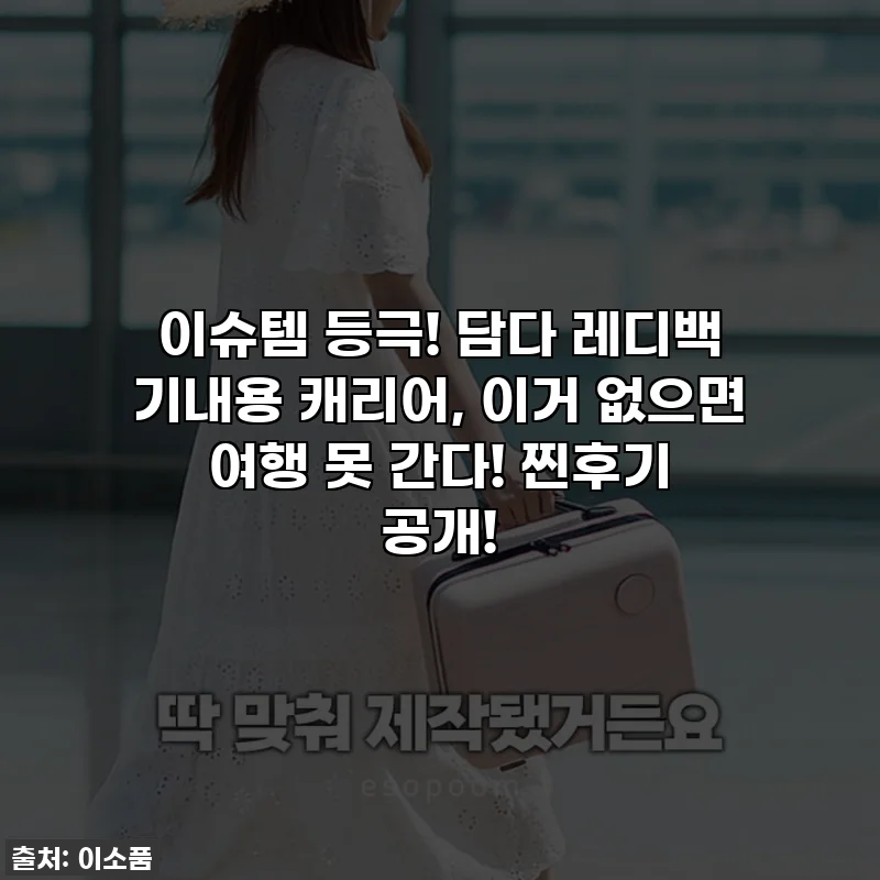 이슈템 등극! 담다 레디백 기내용 캐리어, 이거 없으면 여행 못 간다! 찐후기 공개!