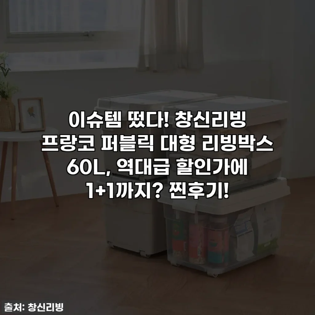 이슈템 떴다! 창신리빙 프랑코 퍼블릭 대형 리빙박스 60L, 역대급 할인가에 1+1까지? 찐후기!