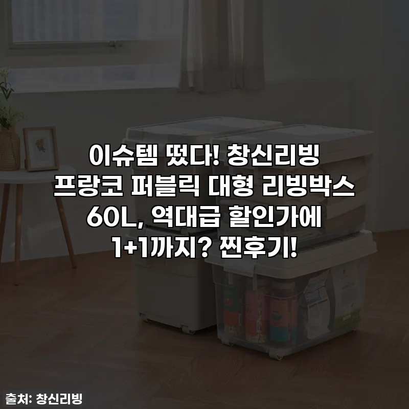 이슈템 떴다! 창신리빙 프랑코 퍼블릭 대형 리빙박스 60L, 역대급 할인가에 1+1까지? 찐후기!