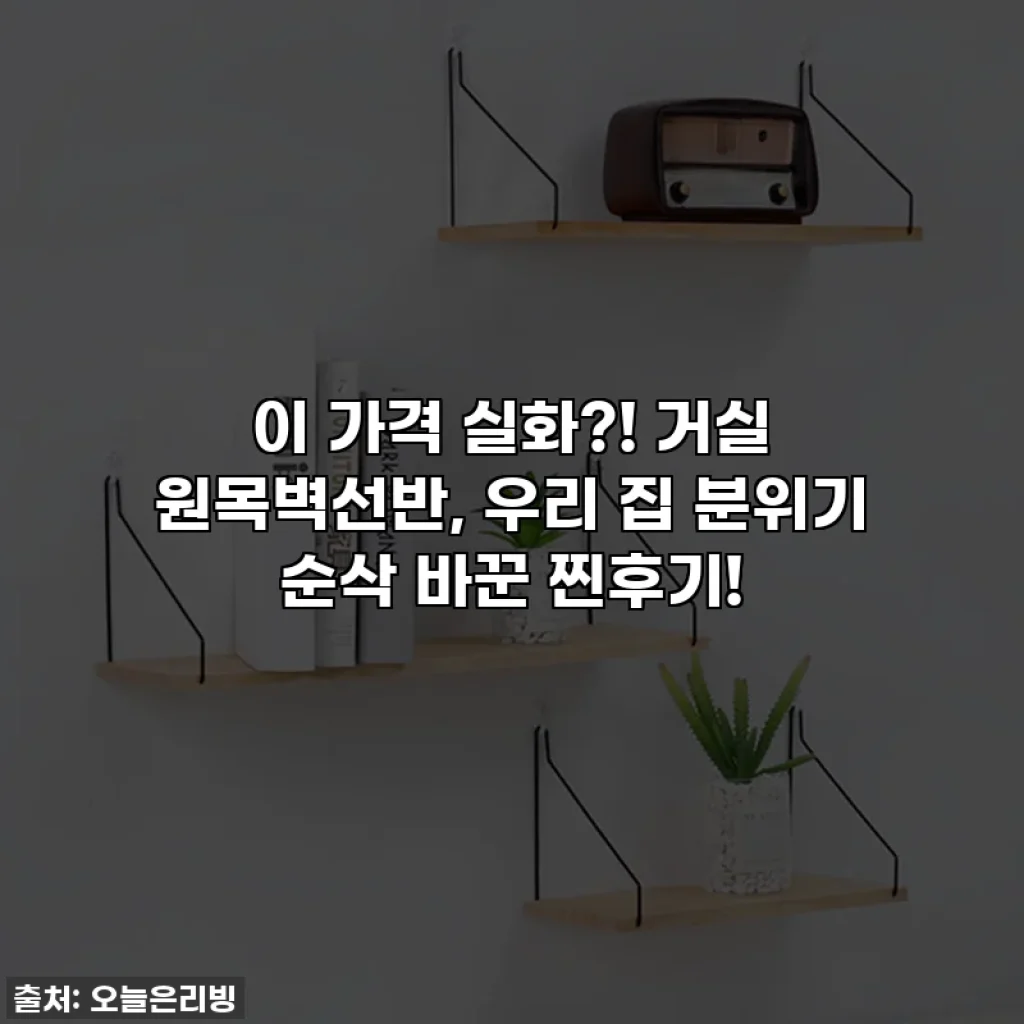 이 가격 실화?! 거실 원목벽선반, 우리 집 분위기 순삭 바꾼 찐후기!