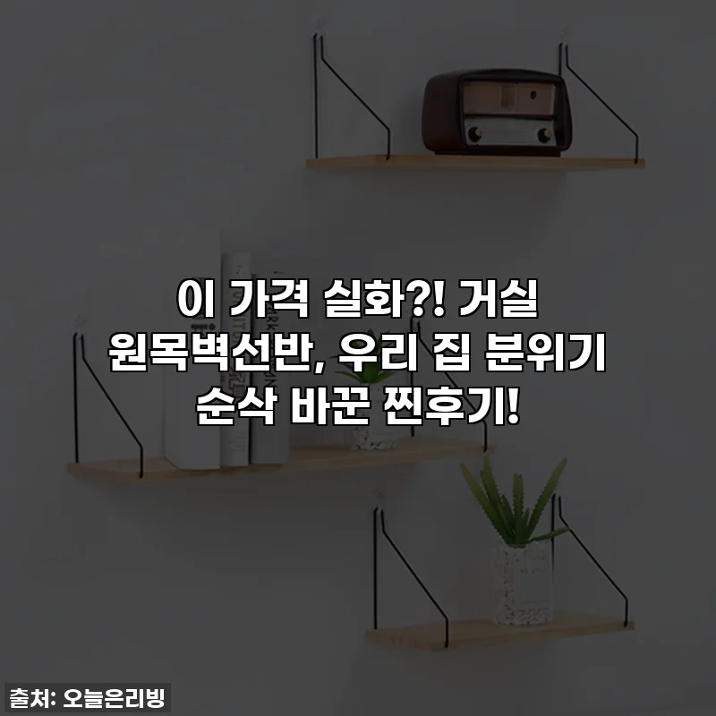 이 가격 실화?! 거실 원목벽선반, 우리 집 분위기 순삭 바꾼 찐후기!