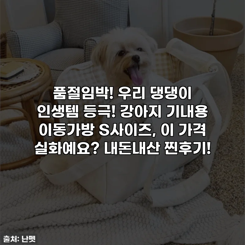 품절임박! 우리 댕댕이 인생템 등극! 강아지 기내용 이동가방 S사이즈, 이 가격 실화예요? 내돈내산 찐후기!