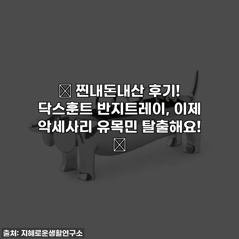 ✨ 찐내돈내산 후기! 닥스훈트 반지트레이, 이제 악세사리 유목민 탈출해요! 💍