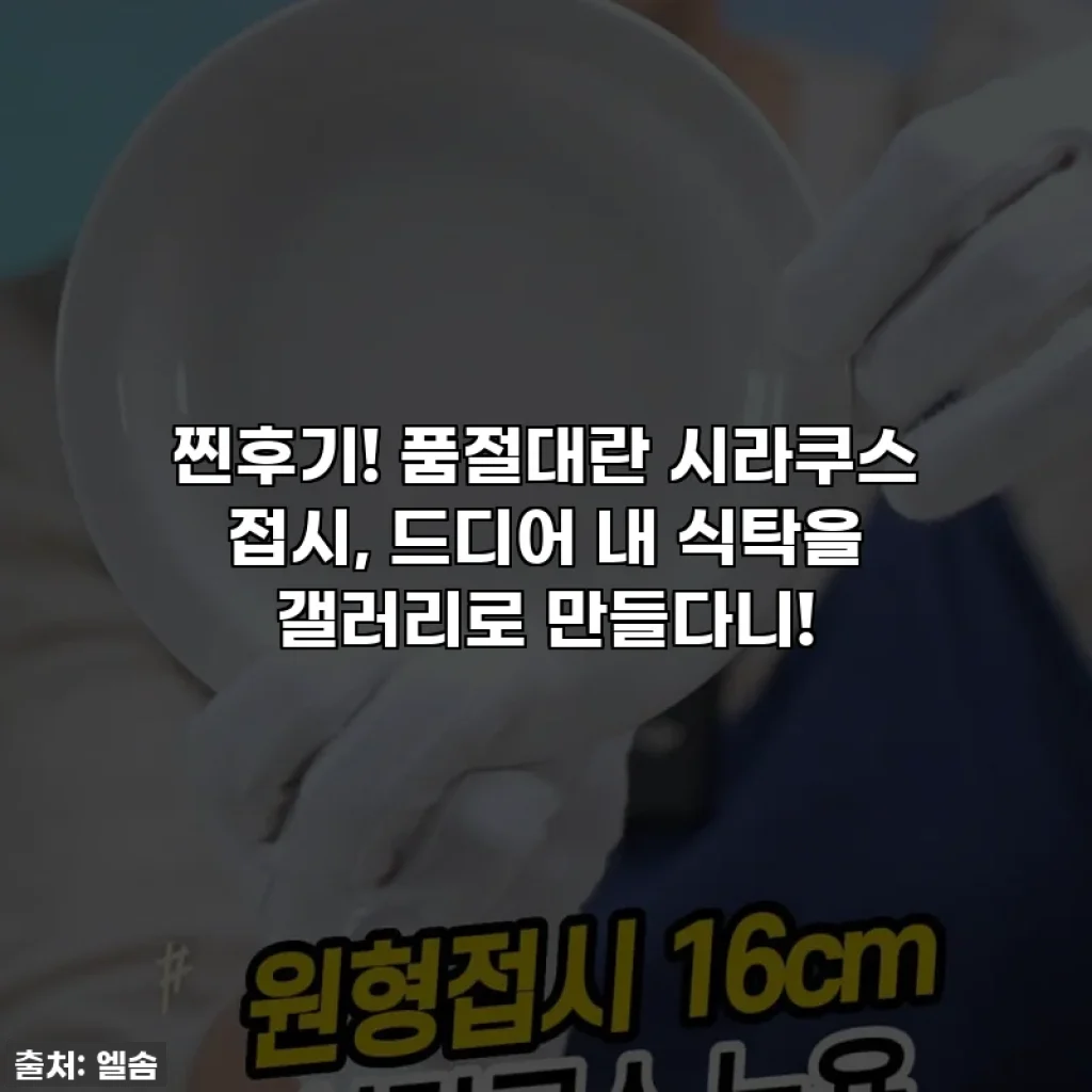 찐후기! 품절대란 시라쿠스 접시, 드디어 내 식탁을 갤러리로 만들다니!
