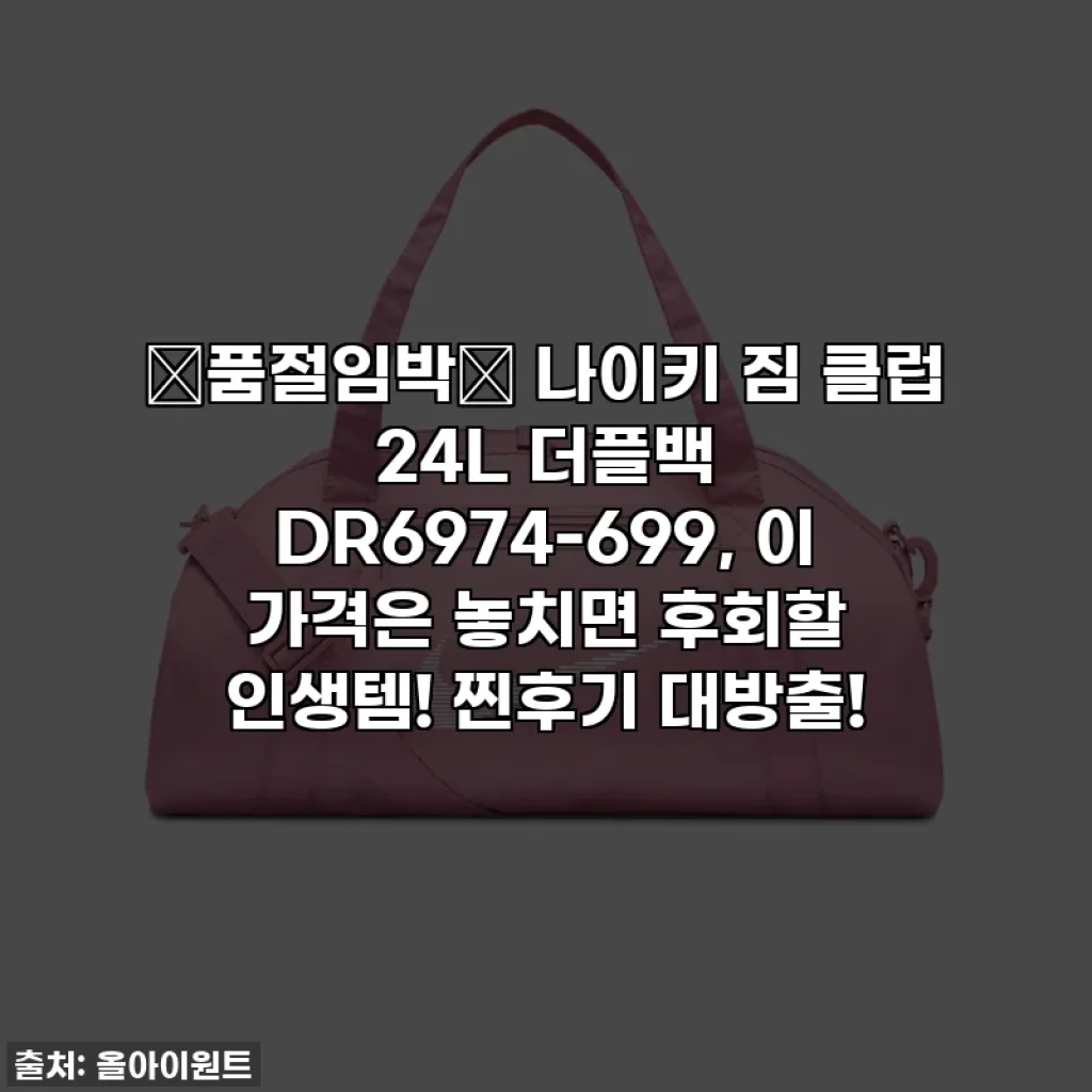 🚨품절임박🚨 나이키 짐 클럽 24L 더플백 DR6974-699, 이 가격은 놓치면 후회할 인생템! 찐후기 대방출!