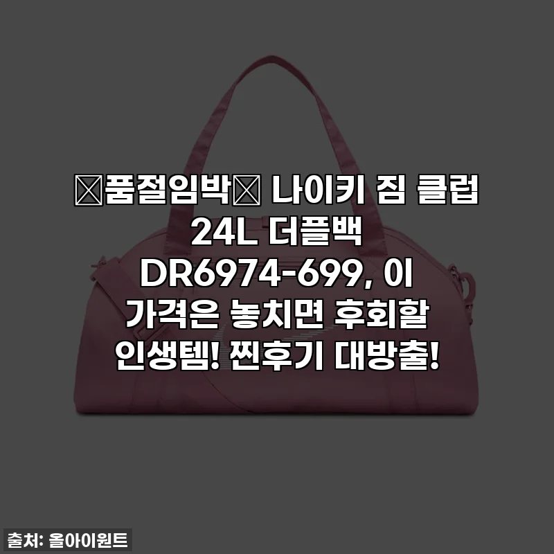 🚨품절임박🚨 나이키 짐 클럽 24L 더플백 DR6974-699, 이 가격은 놓치면 후회할 인생템! 찐후기 대방출!