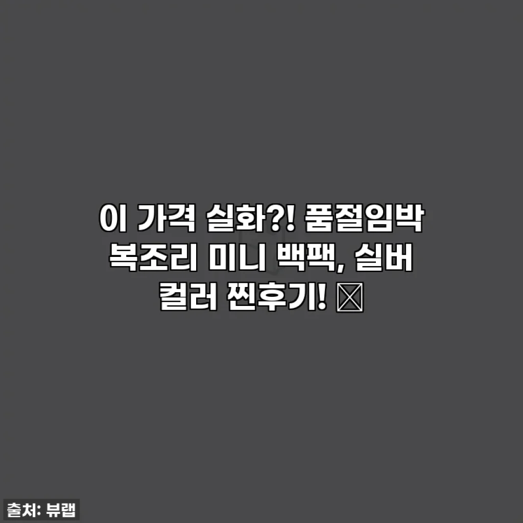 이 가격 실화?! 품절임박 복조리 미니 백팩, 실버 컬러 찐후기! ✨
