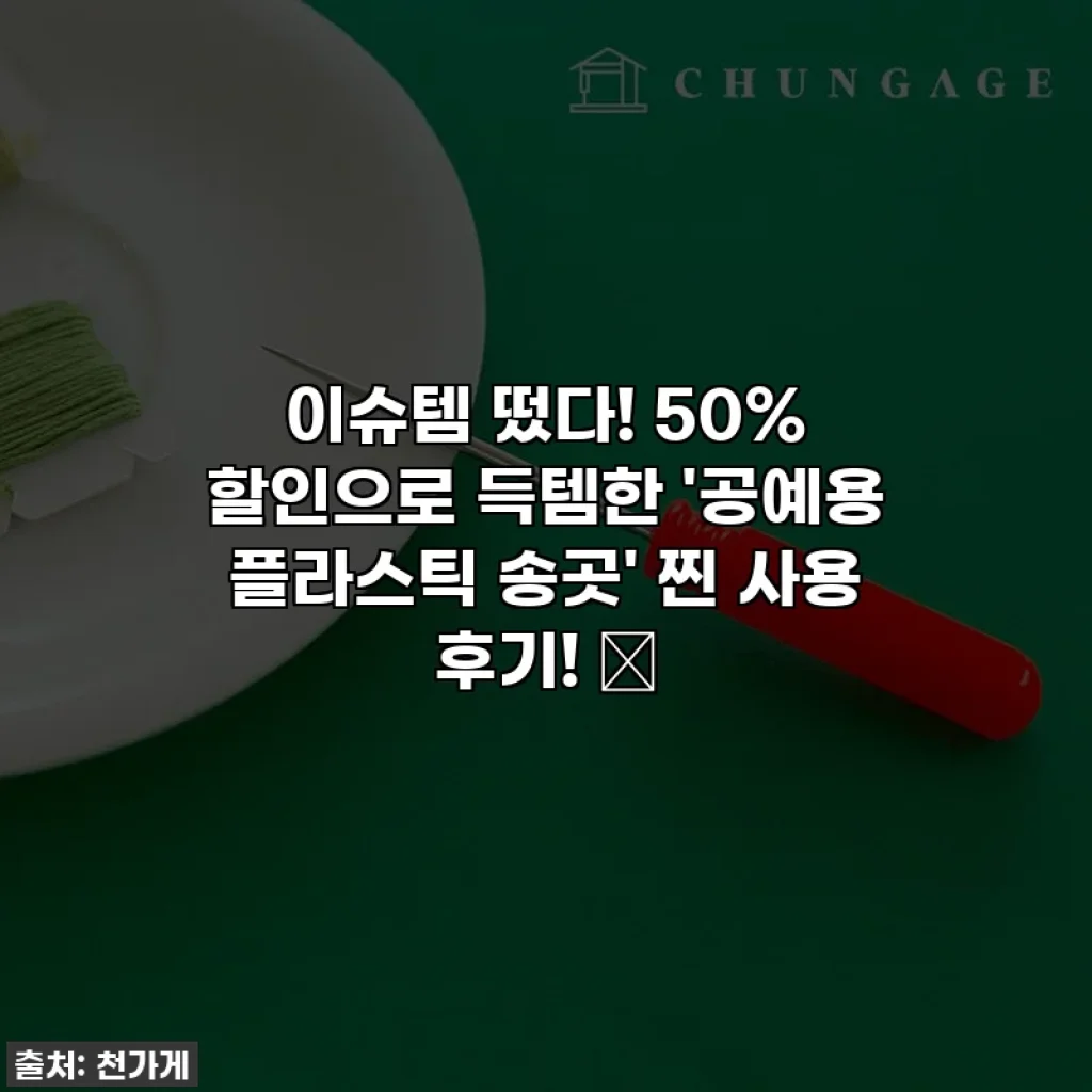 이슈템 떴다! 50% 할인으로 득템한 '공예용 플라스틱 송곳' 찐 사용 후기! ✨