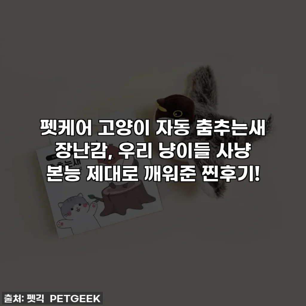 펫케어 고양이 자동 춤추는새 장난감, 우리 냥이들 사냥 본능 제대로 깨워준 찐후기!