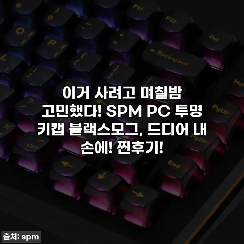 이거 사려고 며칠밤 고민했다! SPM PC 투명 키캡 블랙스모그, 드디어 내 손에! 찐후기!
