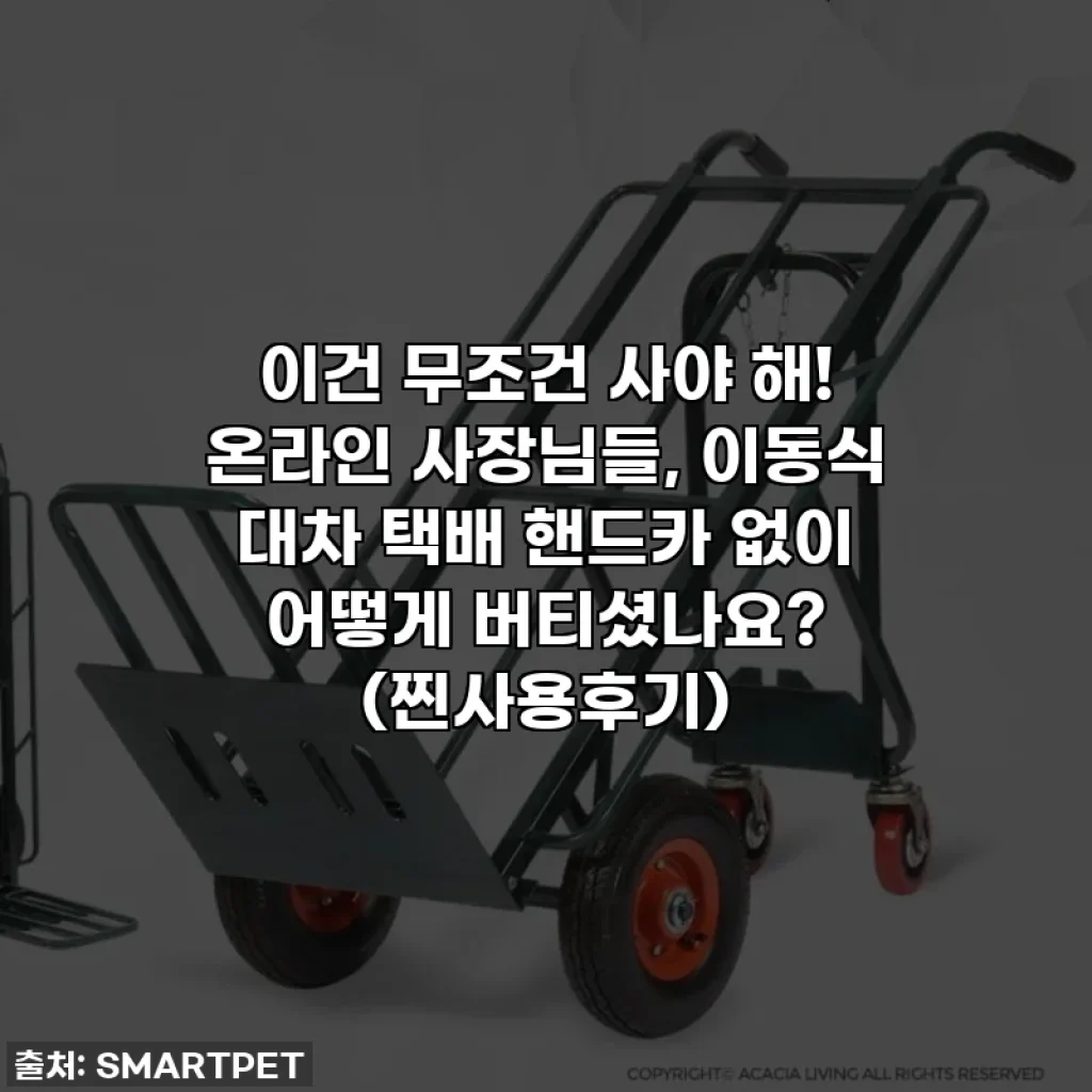 이건 무조건 사야 해! 온라인 사장님들, 이동식 대차 택배 핸드카 없이 어떻게 버티셨나요? (찐사용후기)