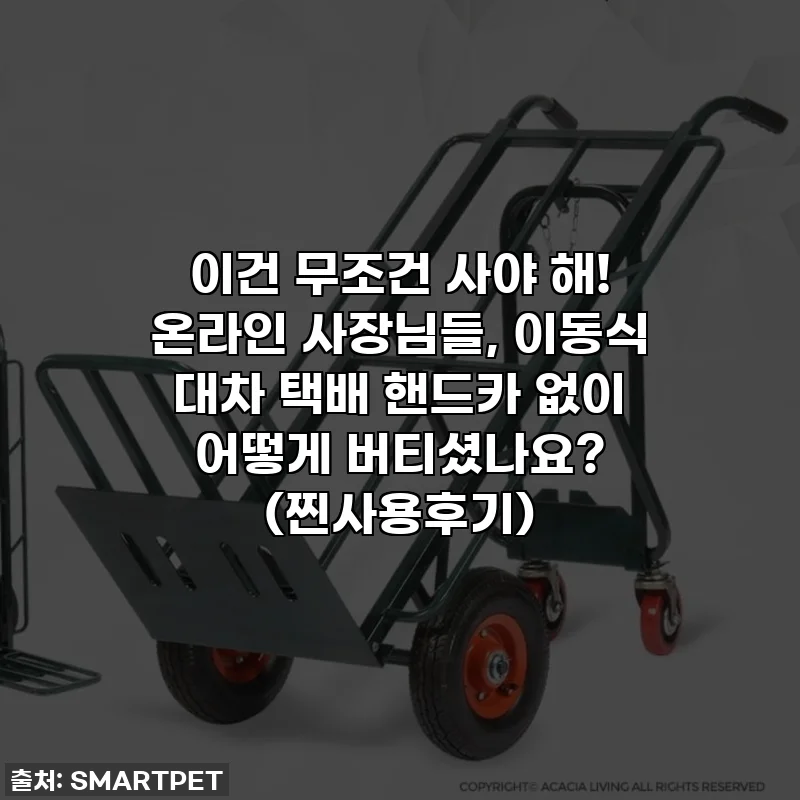 이건 무조건 사야 해! 온라인 사장님들, 이동식 대차 택배 핸드카 없이 어떻게 버티셨나요? (찐사용후기)