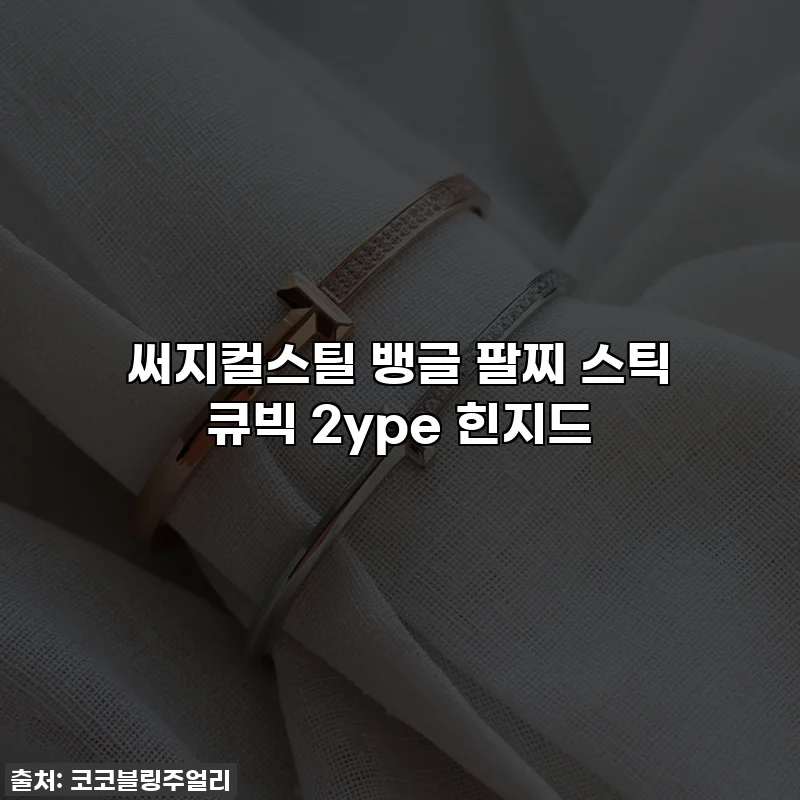 써지컬스틸 뱅글 팔찌 스틱 큐빅 2ype 힌지드