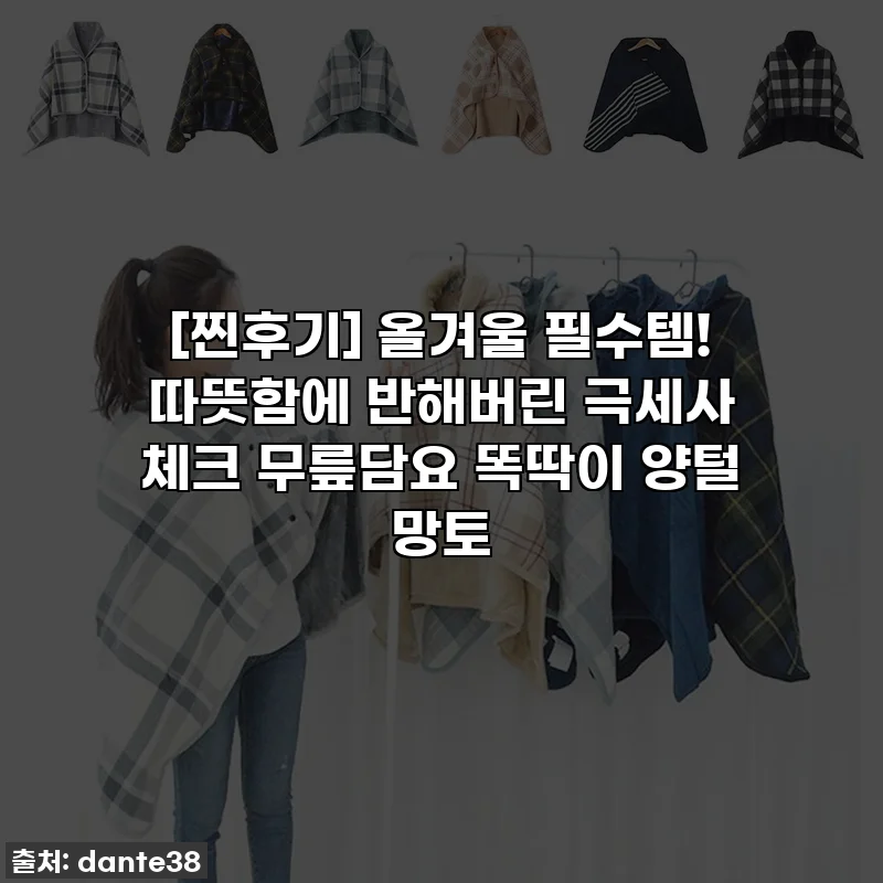 [찐후기] 올겨울 필수템! 따뜻함에 반해버린 극세사 체크 무릎담요 똑딱이 양털 망토