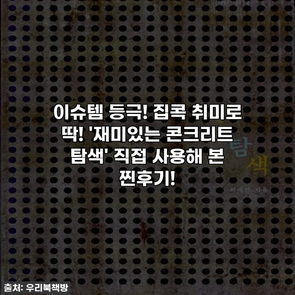 이슈템 등극! 🗿 집콕 취미로 딱! '재미있는 콘크리트 탐색' 직접 사용해 본 찐후기! ✨