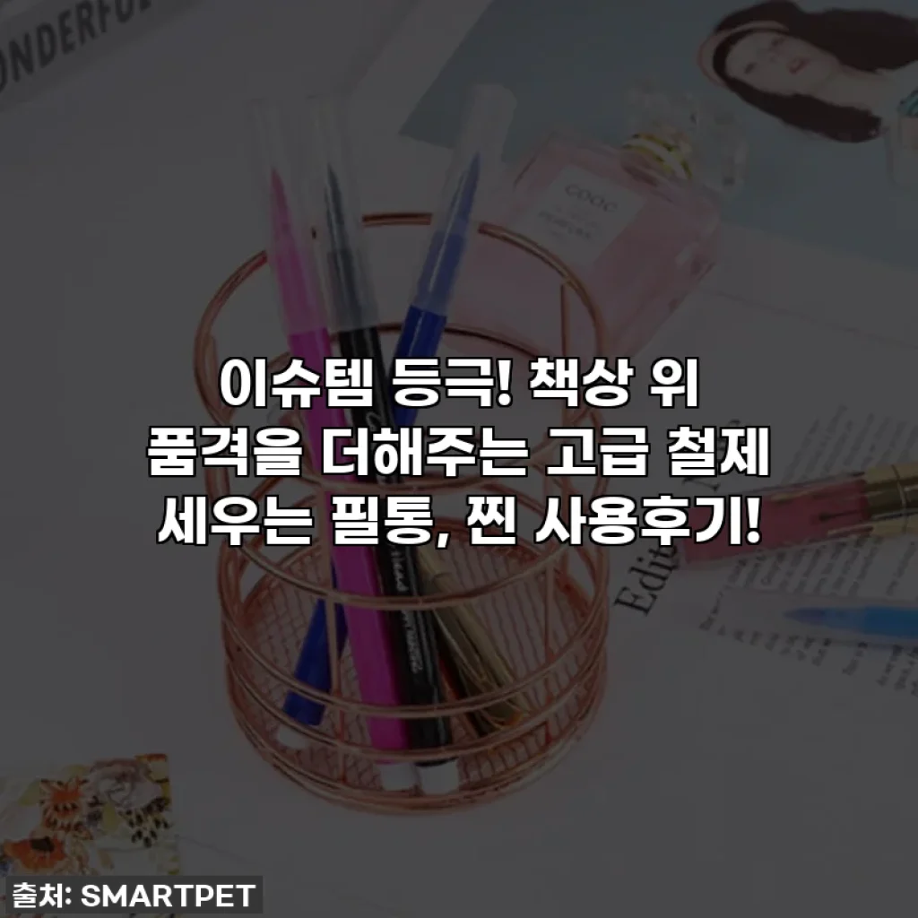 이슈템 등극! 책상 위 품격을 더해주는 고급 철제 세우는 필통, 찐 사용후기!