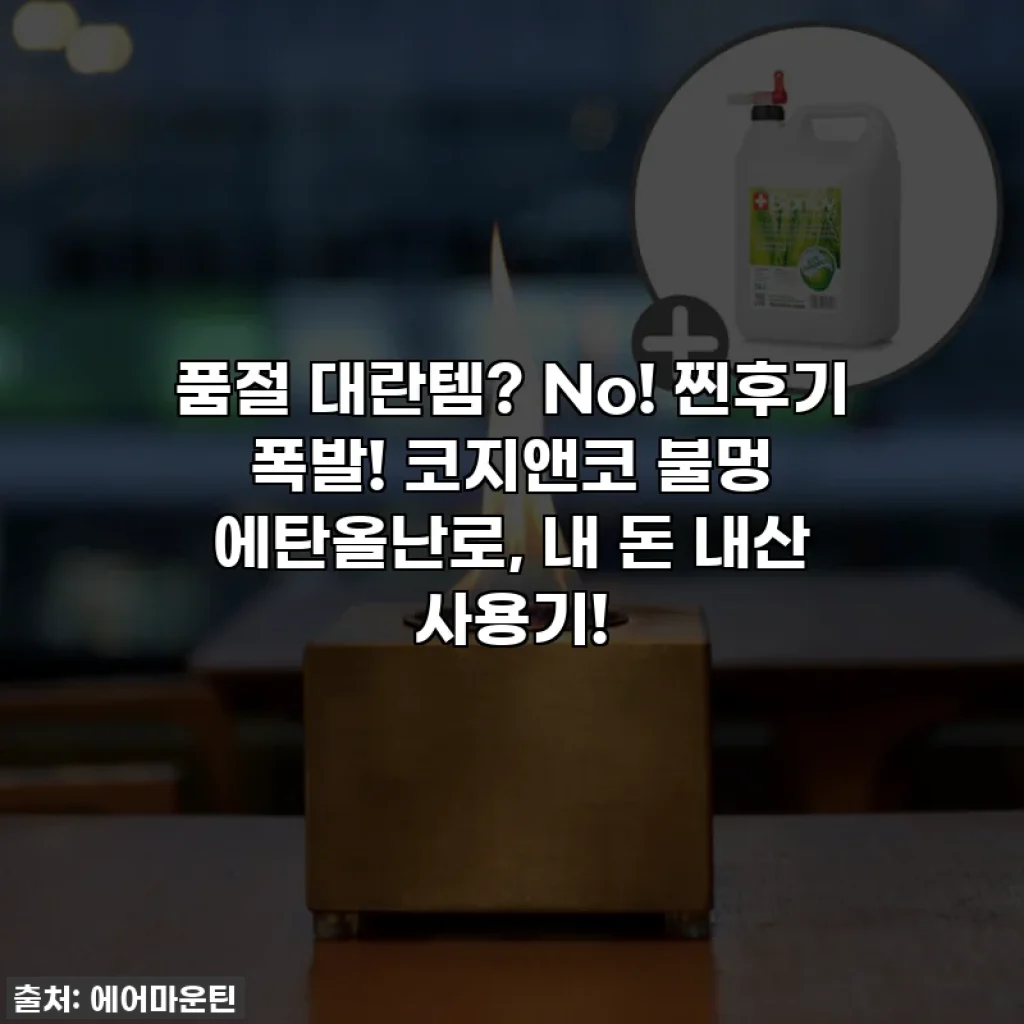 🎁 품절 대란템? No! 찐후기 폭발! 코지앤코 불멍 에탄올난로, 내 돈 내산 사용기! ✨